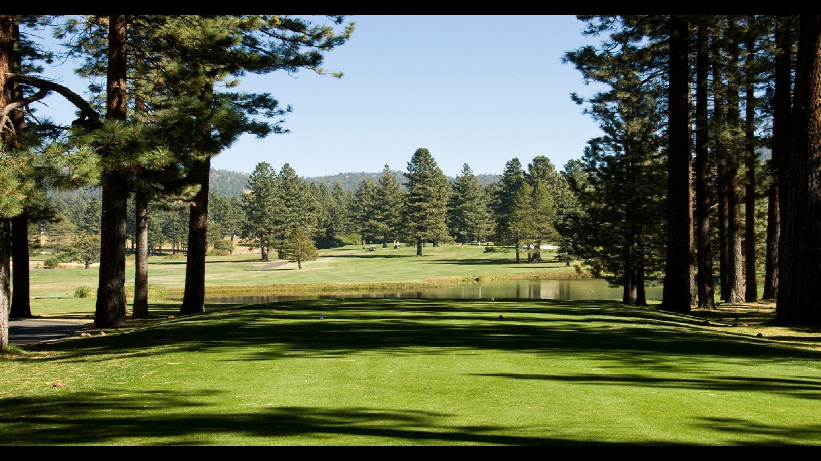 Mountain home nestled in pine forest above Lake Tahoe on the Nevada shore, the forested single-family tier buyers weigh in 2026
