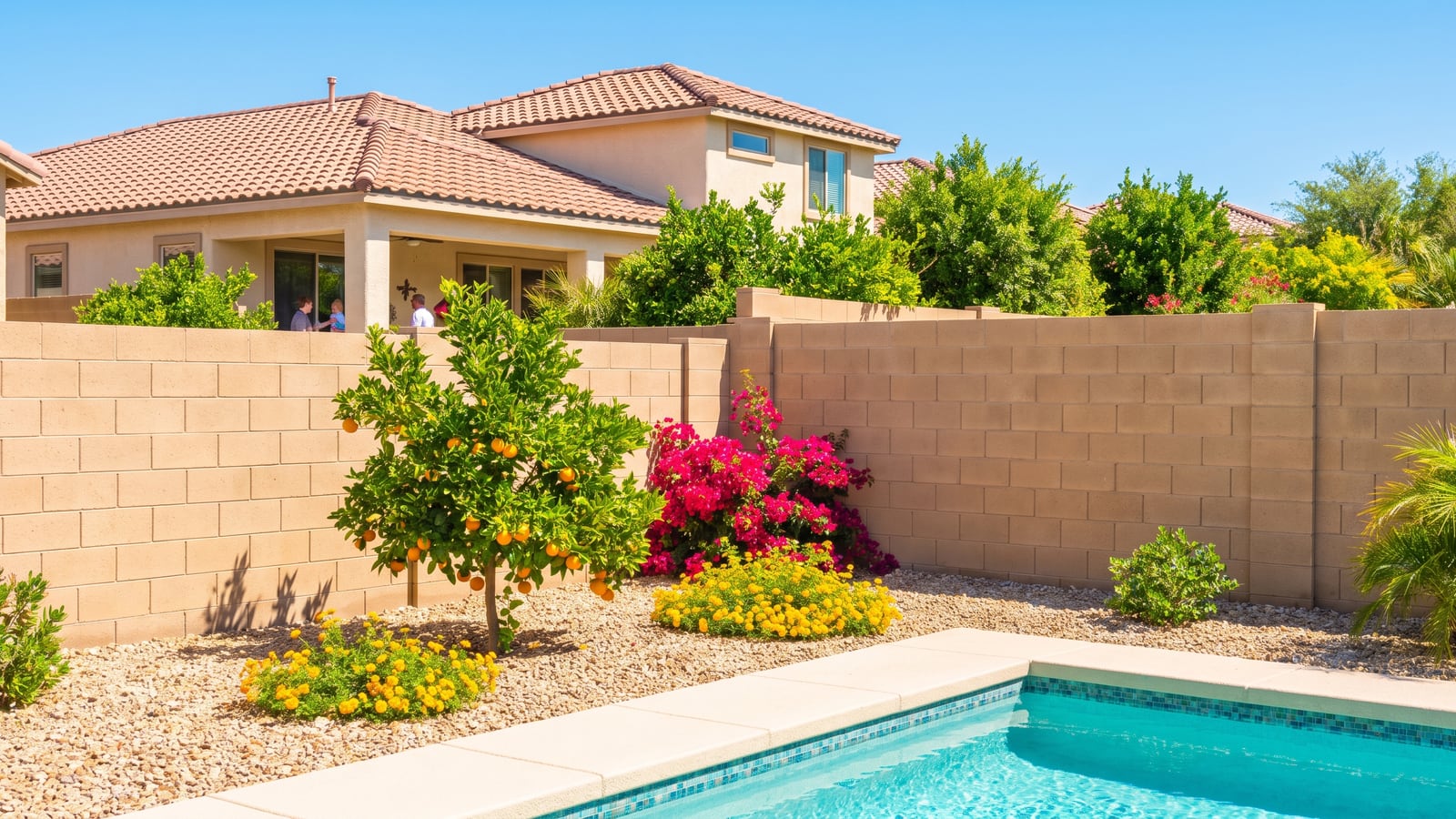 Clean Las Vegas backyard with block walls and desert landscaping maintained against pests in 2026