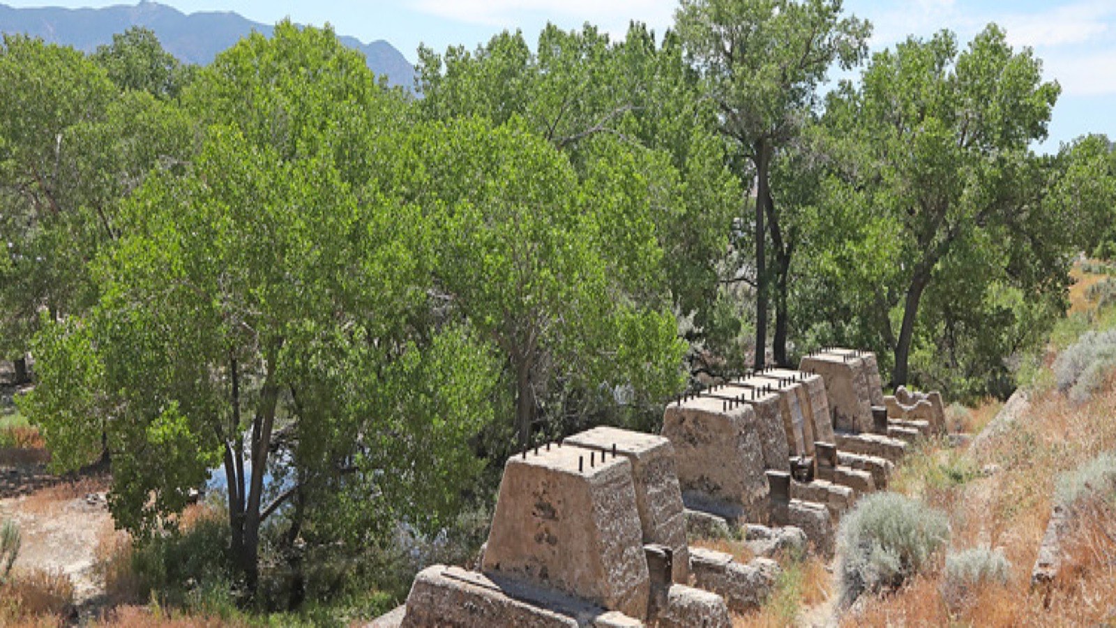 Carson Valley ranch property with open space running to the Sierra, the rural Northern Nevada exposure profile insurers underwrite most cautiously in 2026